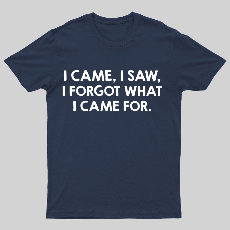 I Came And Saw T-shirt