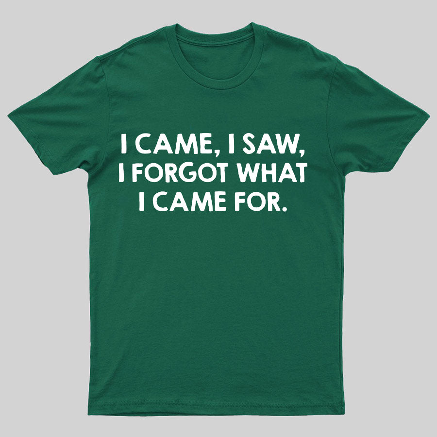 I Came And Saw T-shirt