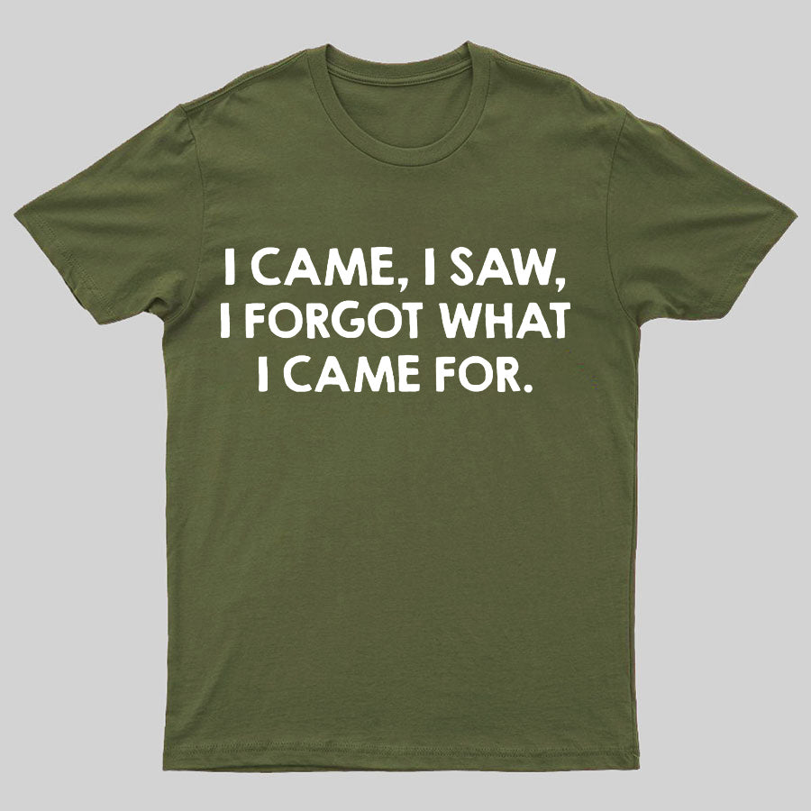 I Came And Saw T-shirt