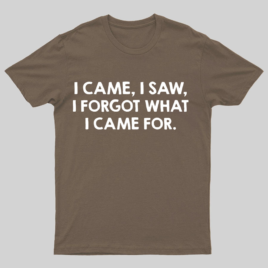 I Came And Saw T-shirt