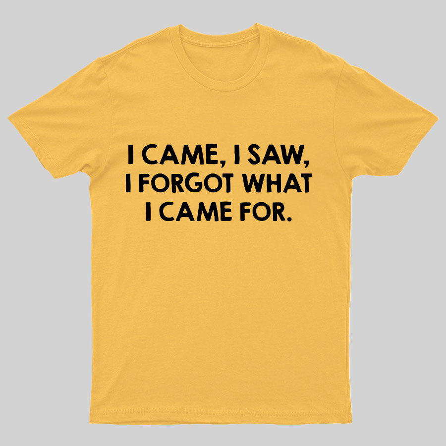 I Came And Saw T-shirt