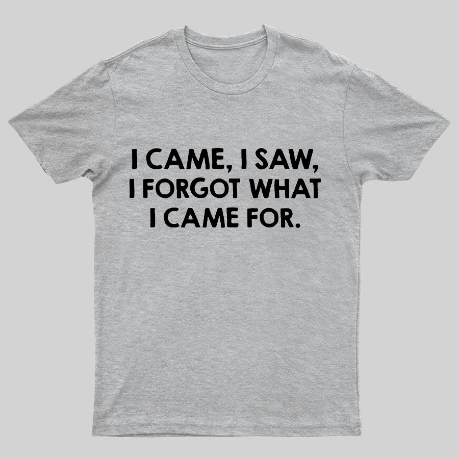 I Came And Saw T-shirt
