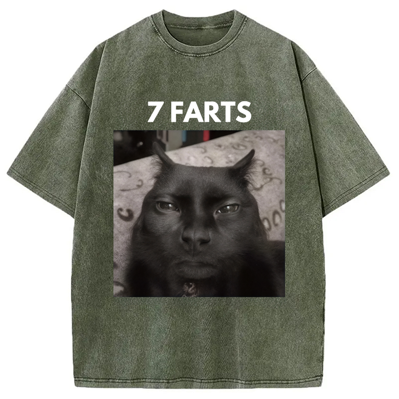 7 Farts Silly Meme Cat Washed T-shirt