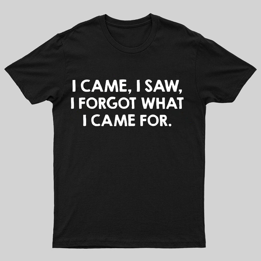 I Came And Saw T-shirt
