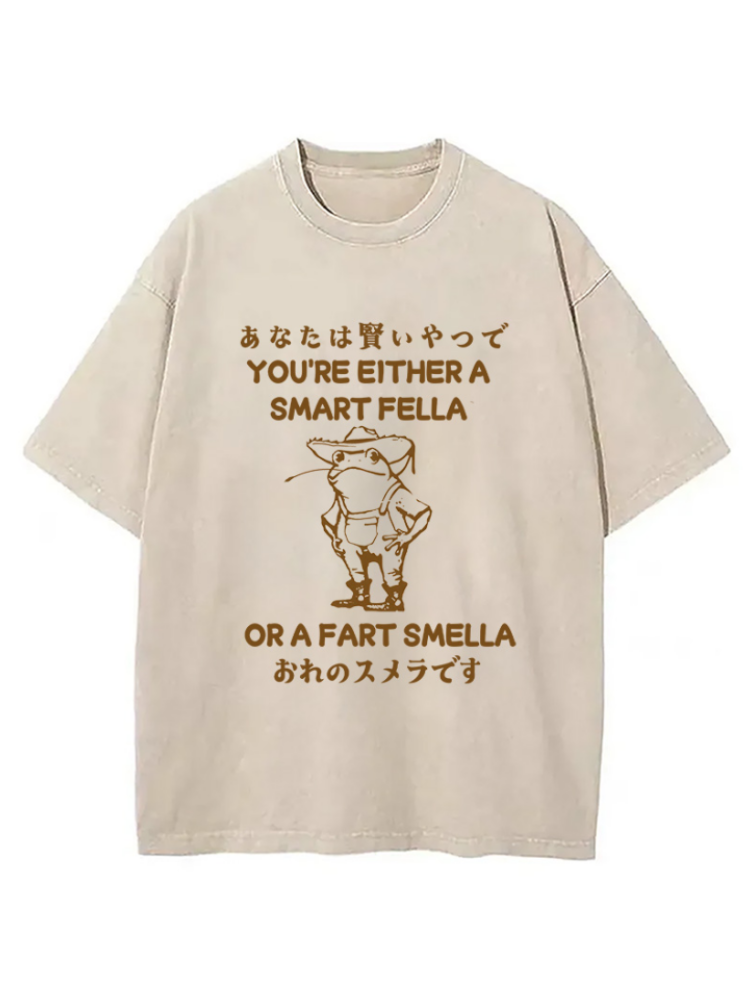 Are You A Smart Fella Or Fart Smella Washed T-shirt