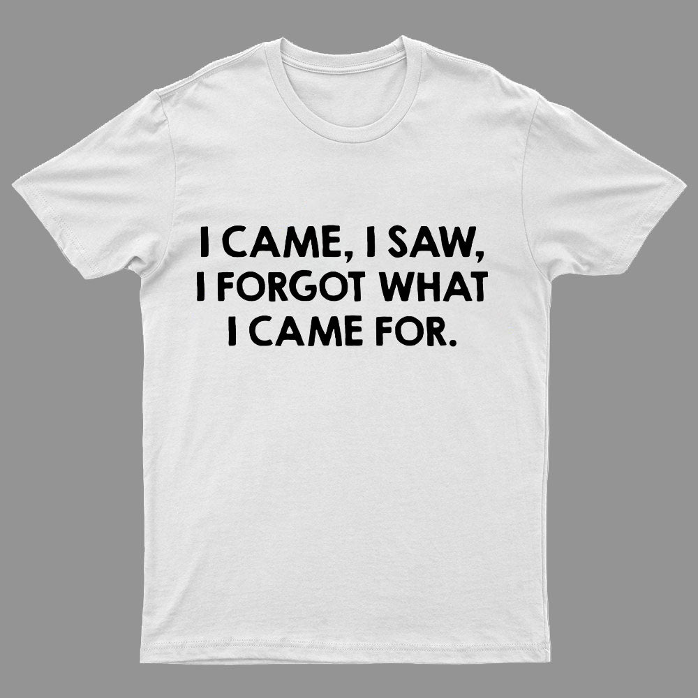 I Came And Saw T-shirt